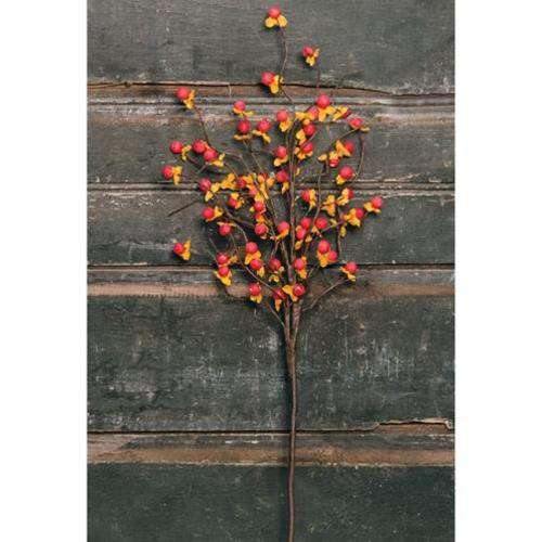 Bittersweet Spray, 18" - The Fox Decor