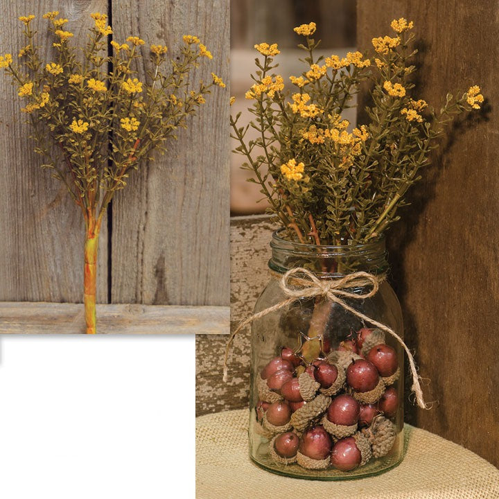 Mustard Fall Astilbe Bush, 10.5" - The Fox Decor