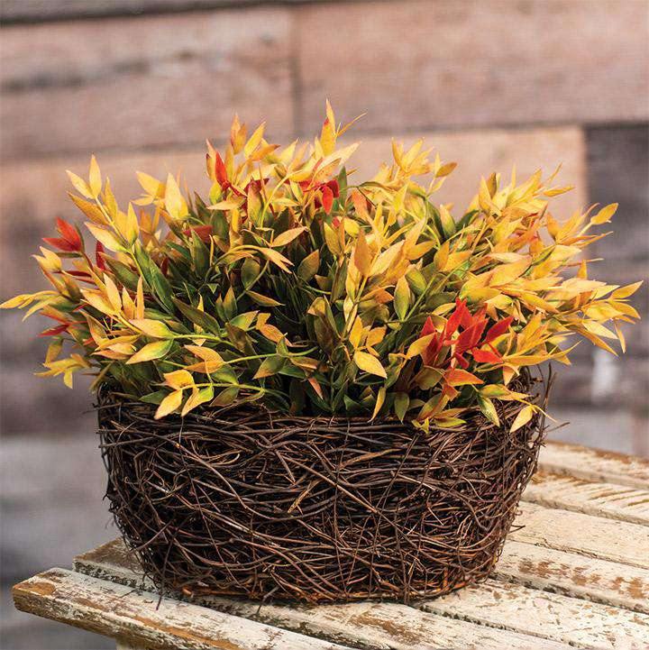Red/Green Velvet Ash Half Sphere, 12" - The Fox Decor