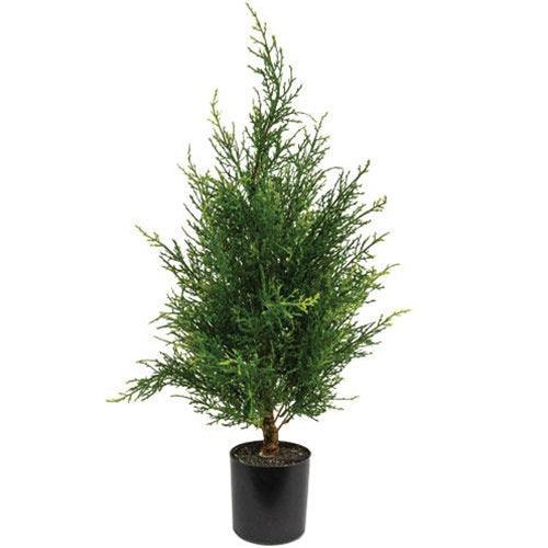 Potted McKinley Cedar Tree, 2Ft - The Fox Decor