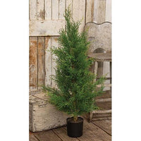 Potted McKinley Cedar Tree, 3ft - The Fox Decor