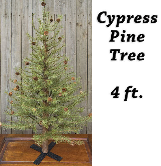 Cypress Pine Tree, 4 ft.