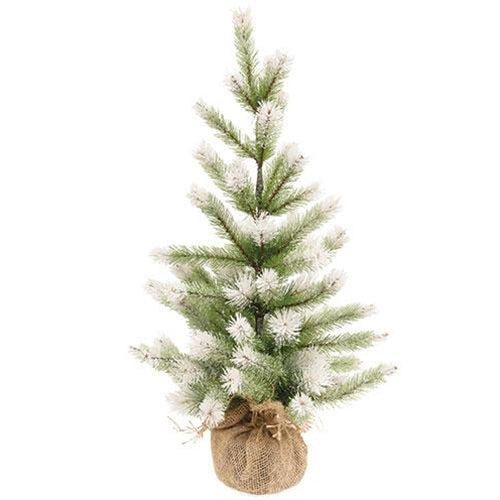 Frost Fade Pine Tree, 2ft
