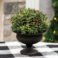 Thumbnail for New England Boxwood With Berries Half Sphere, 8