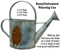 Thumbnail for Rusty/Galvanized Wall Watering Can - The Fox Decor