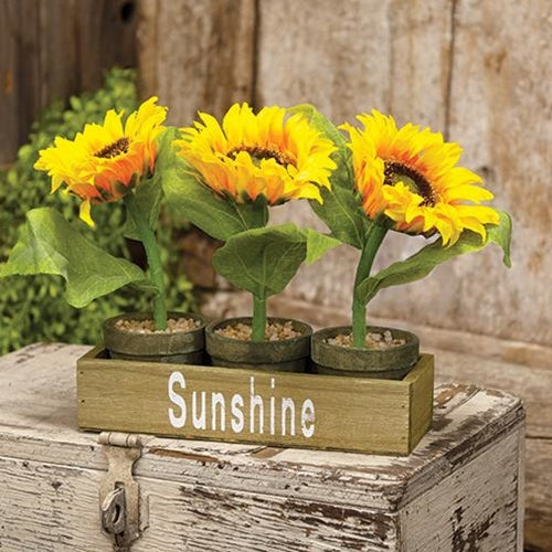 3/Set, Potted Sunflowers in Wooden Crate
