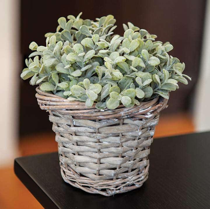 Gray Willow Basket