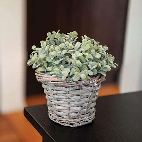 Gray Willow Basket - The Fox Decor