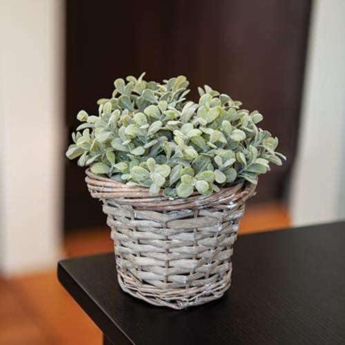 Gray Willow Basket