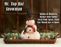 Thumbnail for Mr. Top Hat Snowman