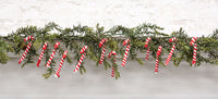 Thumbnail for 12/Pkg, Candy Canes