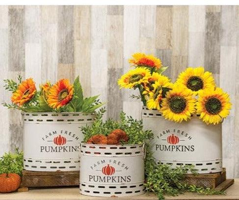 3/Set, Farm Fresh Pumpkins Oval Buckets - The Fox Decor