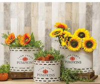 Thumbnail for 3/Set, Farm Fresh Pumpkins Oval Buckets - The Fox Decor