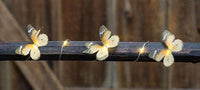 Thumbnail for Butterfly LED Lights, 20 ct - The Fox Decor