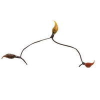 Fall Leaves Silicone Teeny Lights, 20ct - The Fox Decor