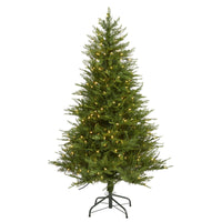 Thumbnail for 5’ Wisconsin Fir Artificial Christmas Tree with 250 Warm White LED Lights and 578 Bendable Branches
