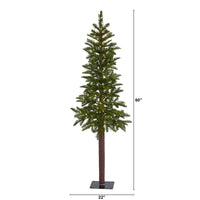Thumbnail for 5’ Alaskan Alpine Artificial Christmas Tree with 100 Clear Microdot (Multifunction) LED Lights and 92 Bendable Branches - The Fox Decor