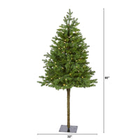 Thumbnail for 5' Swiss Alpine Artificial Christmas Tree with 150 Clear LED Lights and 270 Bendable Branches - The Fox Decor