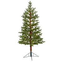 Thumbnail for 5' Fairbanks Fir Artificial Christmas Tree with 150 Clear Warm (Multifunction) LED Lights and 118 Bendable Branches