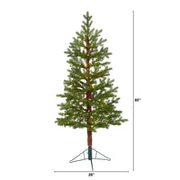 Thumbnail for 5' Fairbanks Fir Artificial Christmas Tree with 150 Clear Warm (Multifunction) LED Lights and 118 Bendable Branches - The Fox Decor