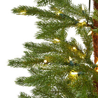Thumbnail for 6.5' Fairbanks Fir Artificial Christmas Tree with 250 Clear Warm (Multifunction) LED Lights and 208 Bendable Branches - The Fox Decor