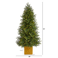 Thumbnail for 6' Manchester Fir Artificial Christmas Tree in Decorative Planter with 350 Clear Warm (Multifunction) LED Lights and 504 Bendable Branches - The Fox Decor