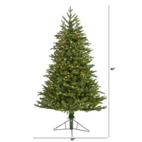 Thumbnail for 5' Cambridge Fir Artificial Christmas Tree with 300 Clear Warm (Multifunction) LED Lights with Instant Connect Technology and 570 Bendable Branches - The Fox Decor