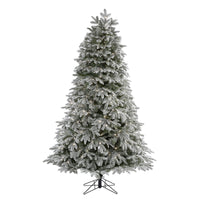 Thumbnail for 7' Flocked Colorado Mountain Fir Artificial Christmas Tree with 700 Warm White Microdot (Multifunction) LED Lights with Instant Connect Technology and 1455 Bendable Branches