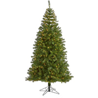 Thumbnail for 7' Springfield Artificial Christmas Tree with 400 Warm Clear Lights and 916 Bendable Branches