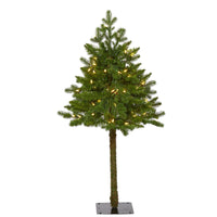 Thumbnail for 3' Swiss Alpine Artificial Christmas Tree with 50 Clear LED Lights and 60 Bendable Branches