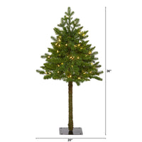 Thumbnail for 3' Swiss Alpine Artificial Christmas Tree with 50 Clear LED Lights and 60 Bendable Branches - The Fox Decor