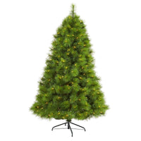 Thumbnail for 6.5’ Green Scotch Pine Artificial Christmas Tree with 350 Clear LED Lights