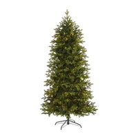 Thumbnail for 7’ Belgium Fir “Natural Look” Artificial Christmas Tree with 500 Clear LED Lights