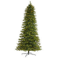 Thumbnail for 10’ Belgium Fir “Natural Look” Artificial Christmas Tree with 1050 Clear LED Lights