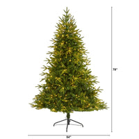Thumbnail for 6.5’ Colorado Mountain Fir “Natural Look” Artificial Christmas Tree with 400 Clear LED Lights and 2056 Bendable Branches - The Fox Decor