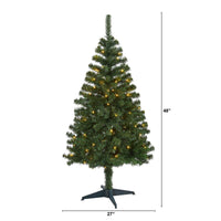 Thumbnail for 4' Northern Tip Pine Artificial Christmas Tree with 100 Clear LED Lights - The Fox Decor