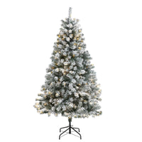 Thumbnail for 6' Flocked Rock Springs Spruce Artificial Christmas Tree with 250 Clear LED Lights