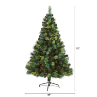 Thumbnail for 6' Assorted Green Scotch Pine Artificial Christmas Tree with 250 LED Lights - The Fox Decor