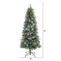 Thumbnail for 6’ Frosted Tip British Columbia Mountain Pine Artificial Christmas Tree with 250 Clear Lights, Pine Cones and 588 Bendable Branches - The Fox Decor