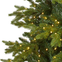 Thumbnail for 10’ Belgium Fir “Natural Look” Artificial Christmas Tree with 1050 Clear LED Lights - The Fox Decor