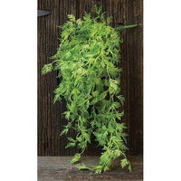 Badium Hanging Bush - The Fox Decor