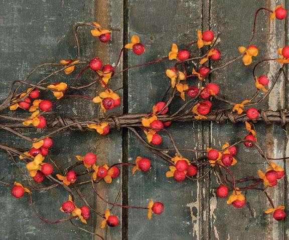 Bittersweet Garland, 4' Fall CWI+ 