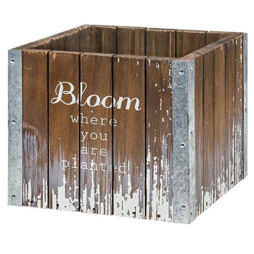 Bloom Where You're Planted Box Wood CWI+ 