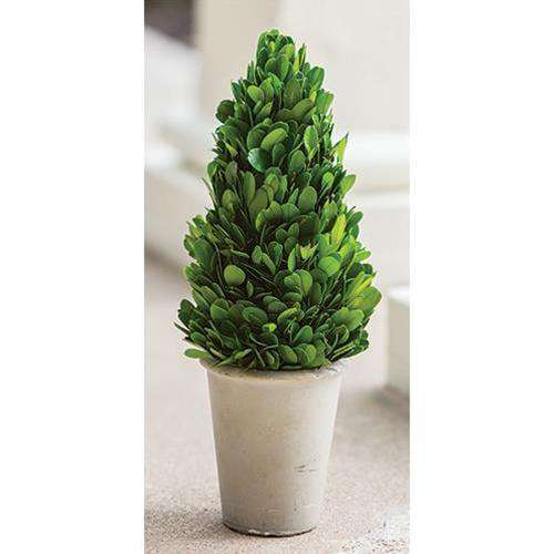 Boxwood Cone Topiary, 11" Greenery CWI+ 