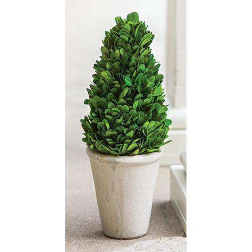 Boxwood Cone Topiary, 13.5" Greenery CWI+ 
