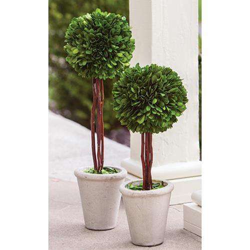 Boxwood Topiary, 20" - The Fox Decor