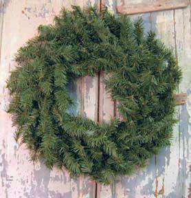Canadian Pine Wreath - 24" Pine CWI+ 