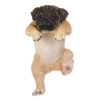 Thumbnail for Climbing Pug 