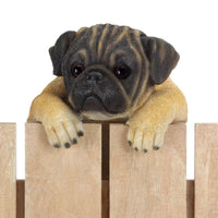Thumbnail for Climbing Pug 