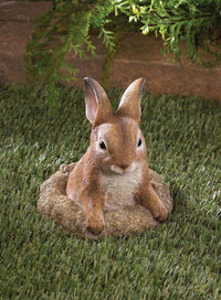 Thumbnail for Curious Bunny Garden Decor - The Fox Decor